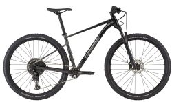 Cannondale Trail 29